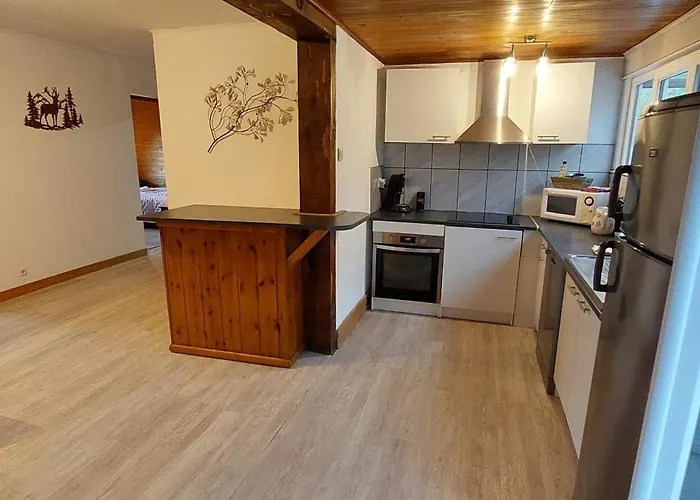 Апартаменты La Maison De Charlie Les 2 Alpes *