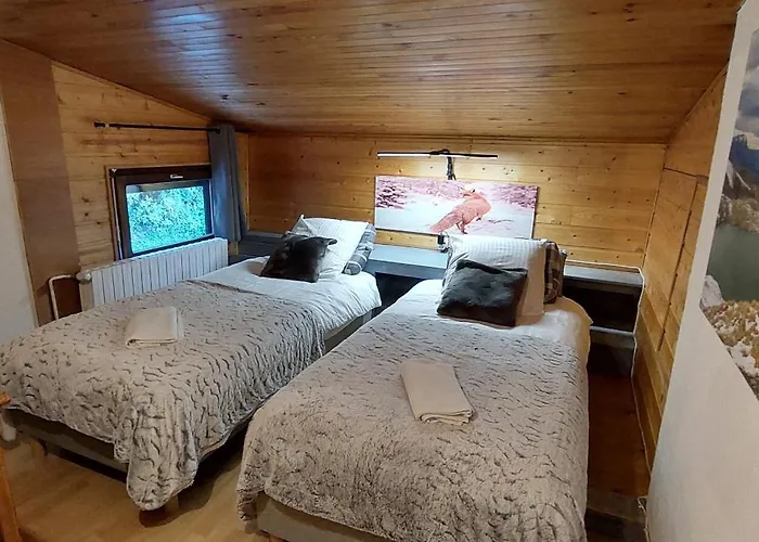 La Maison De Charlie Les 2 Alpes Апартаменты *